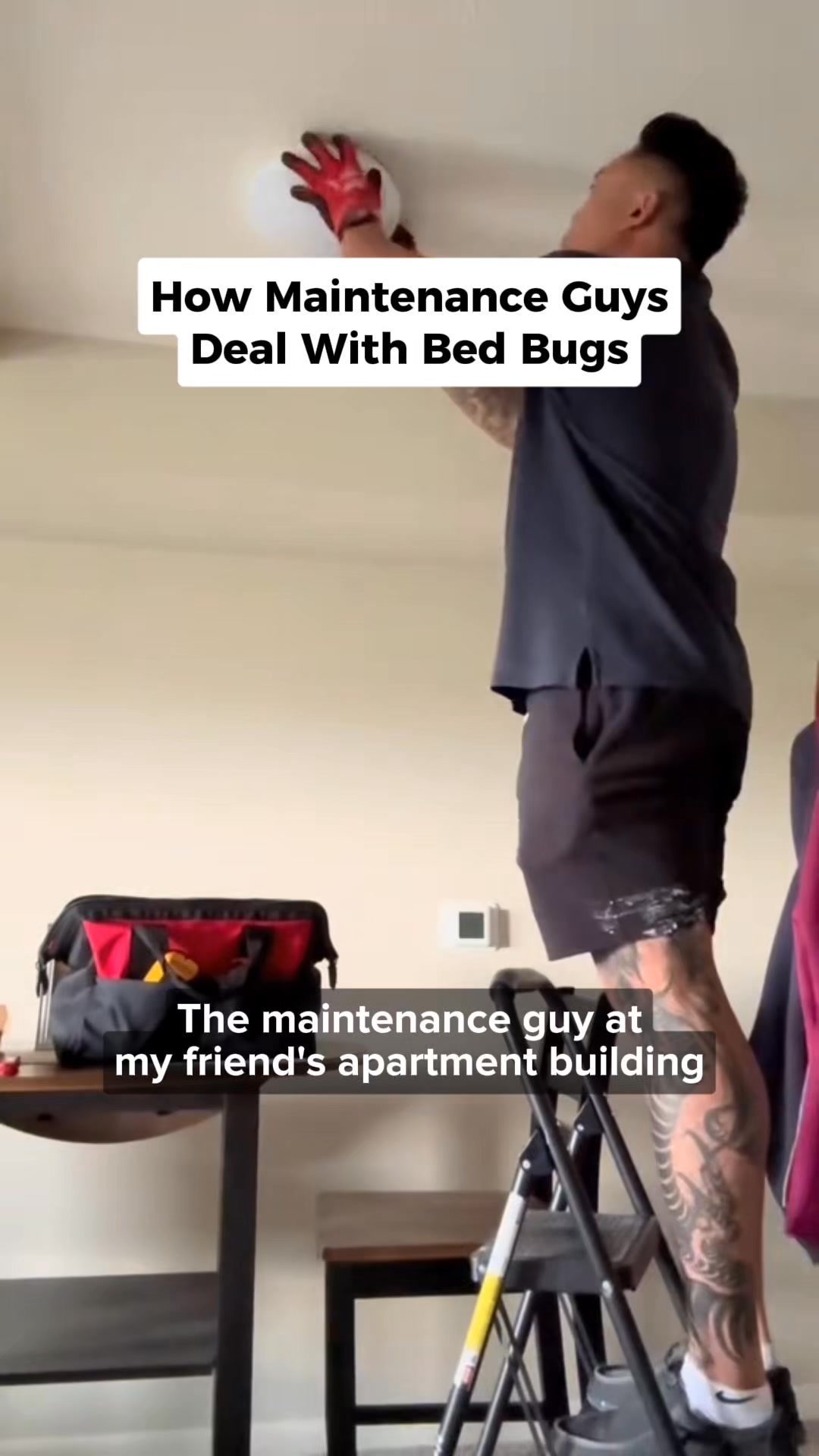 Banish Bed Bugs For Good