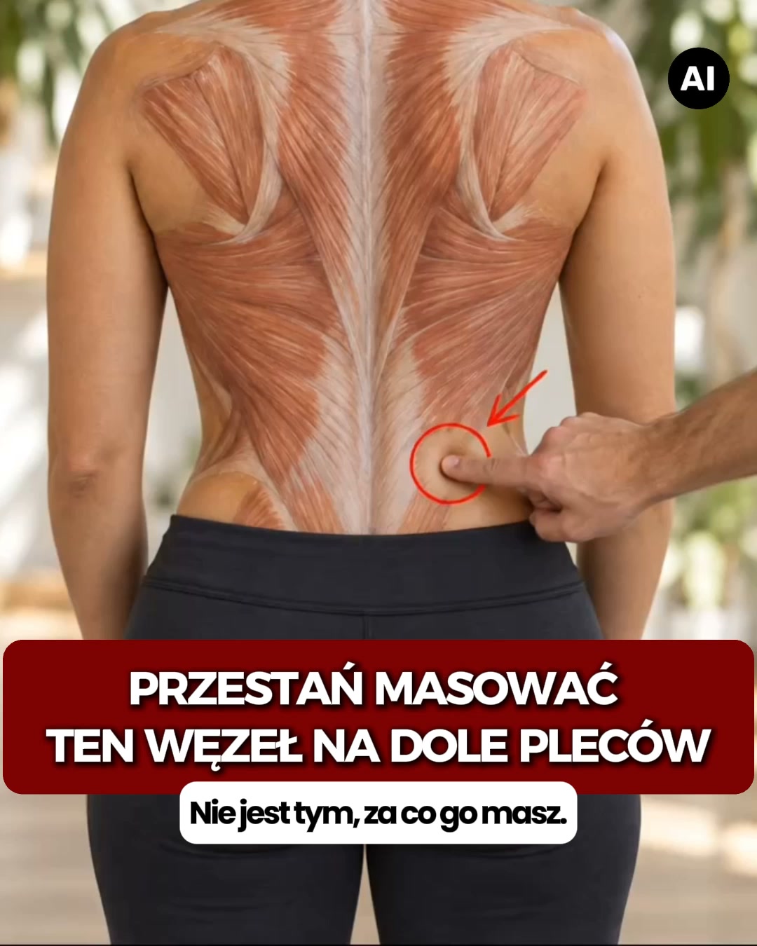 Darmowa Dostawa