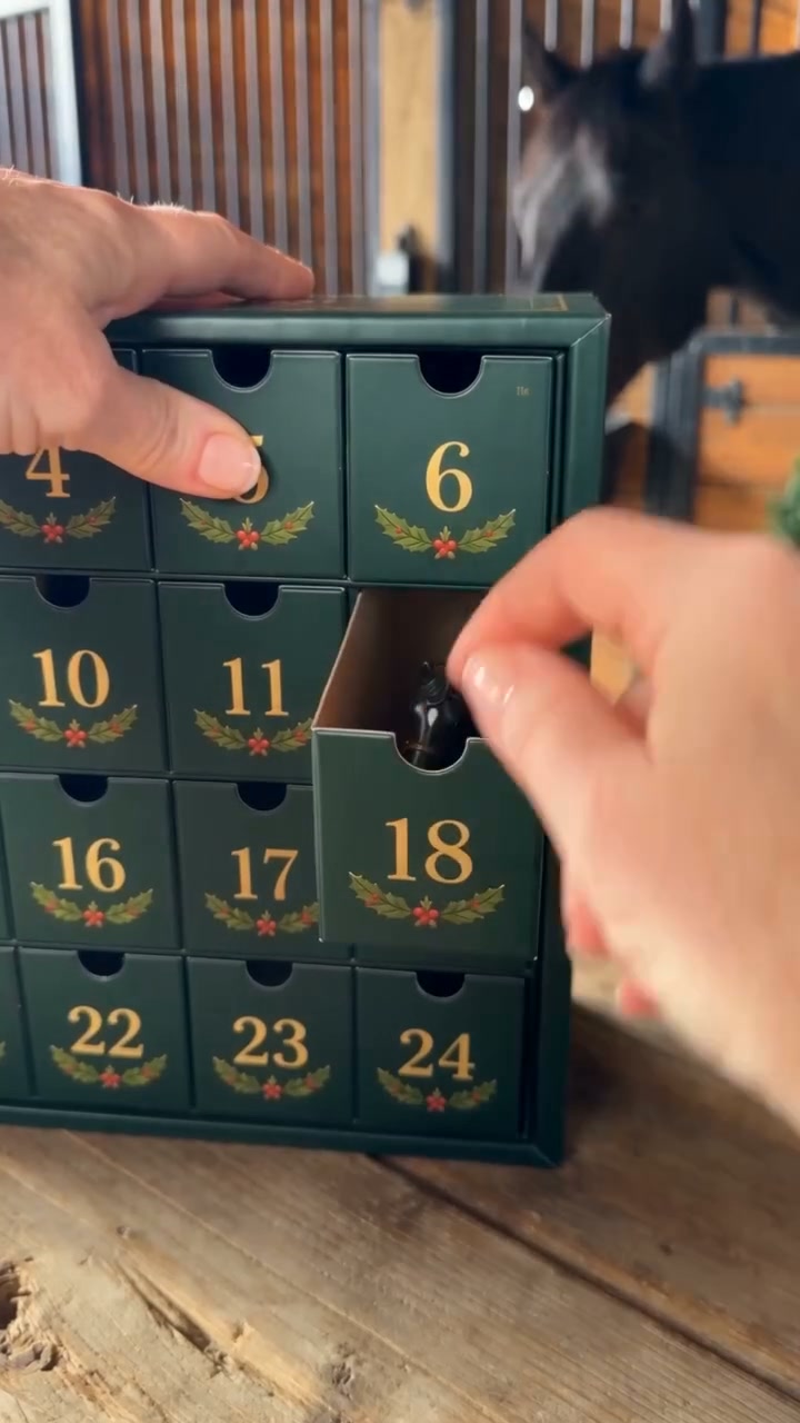 24 Days of Pure Horse Magic!