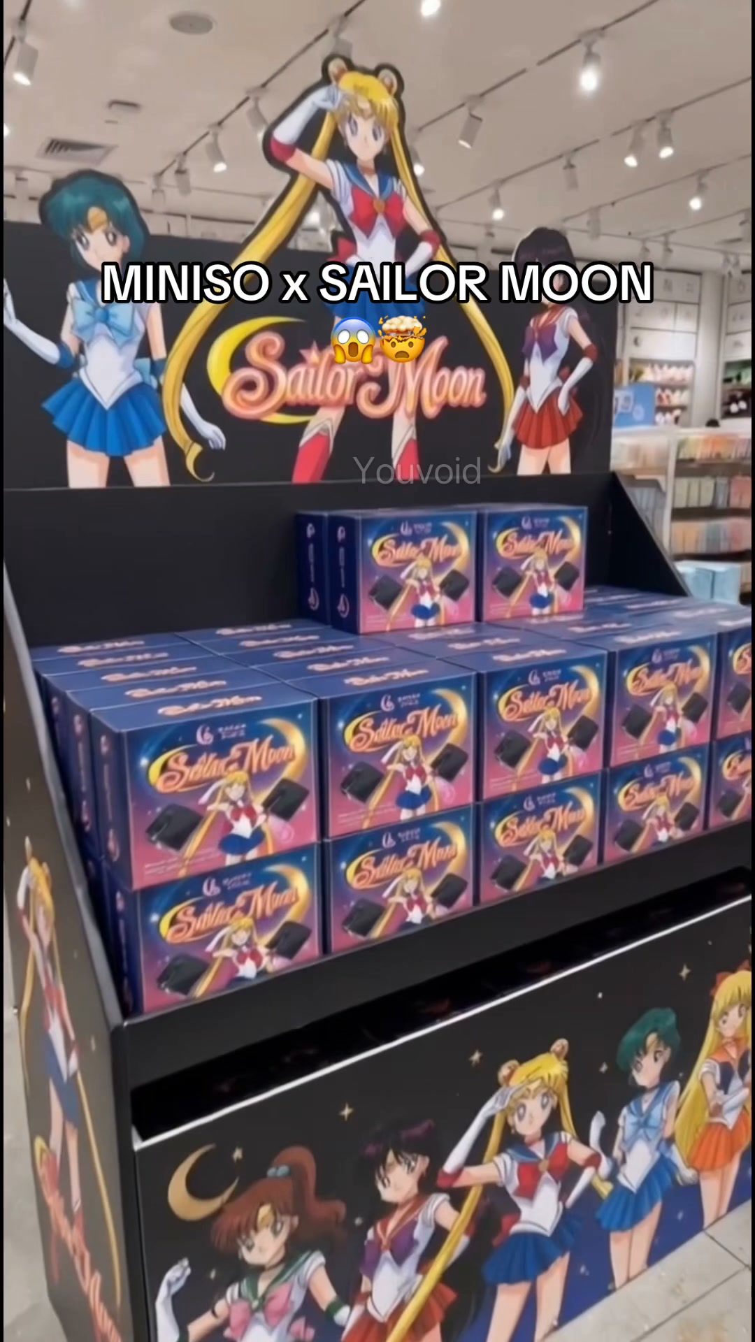 Sailor Moon Car Door Welcome Light