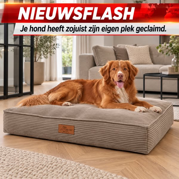 Orthopedisch Hondenkussen Foam Flakes Vulling