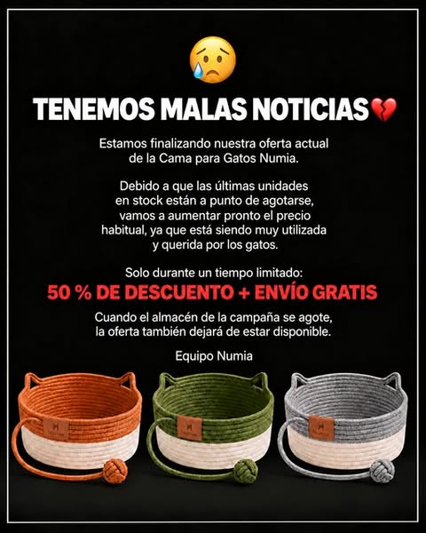 El nuevo lugar favorito de tu gato