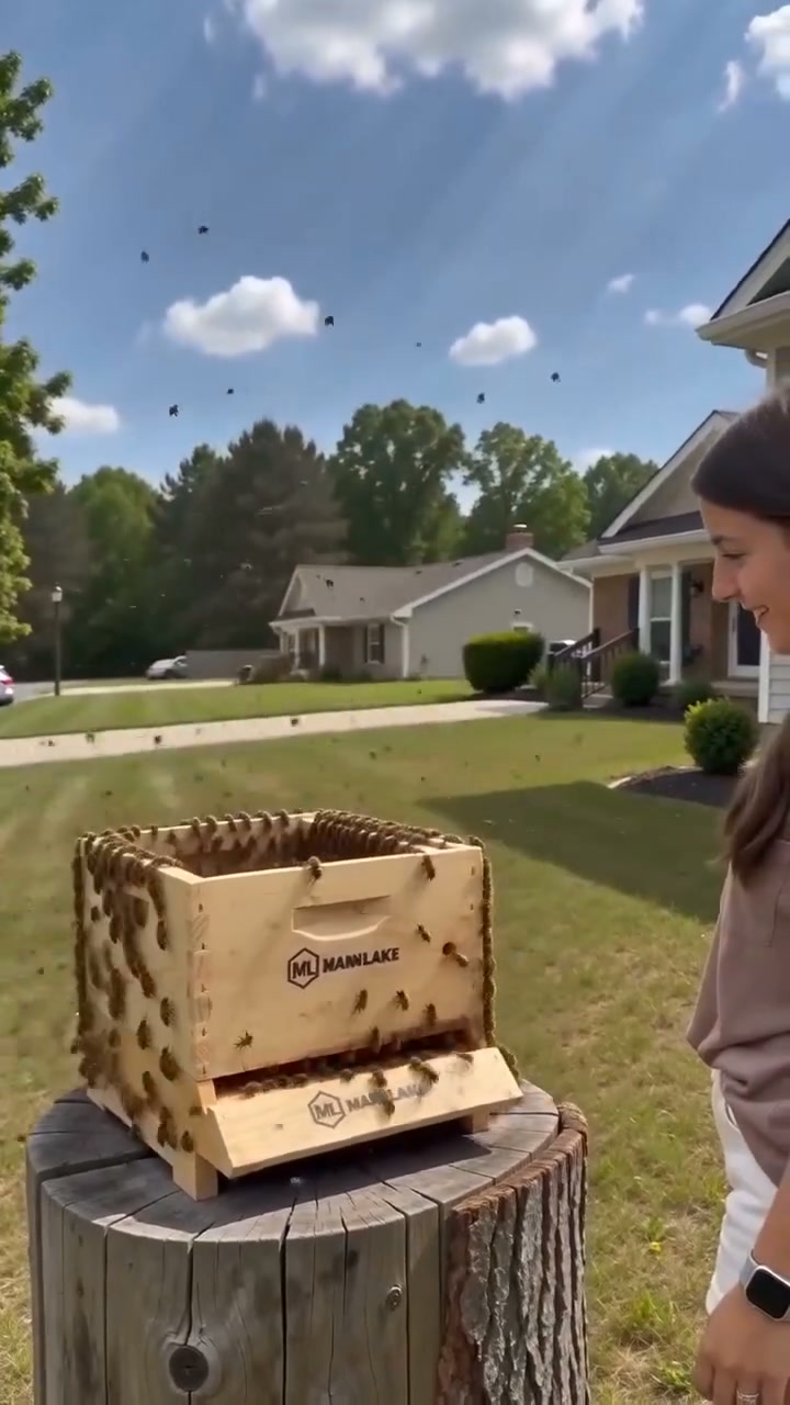 "Natural pheromone formula — attract passing honeybee colonies directly to your hives, safely and effectively."