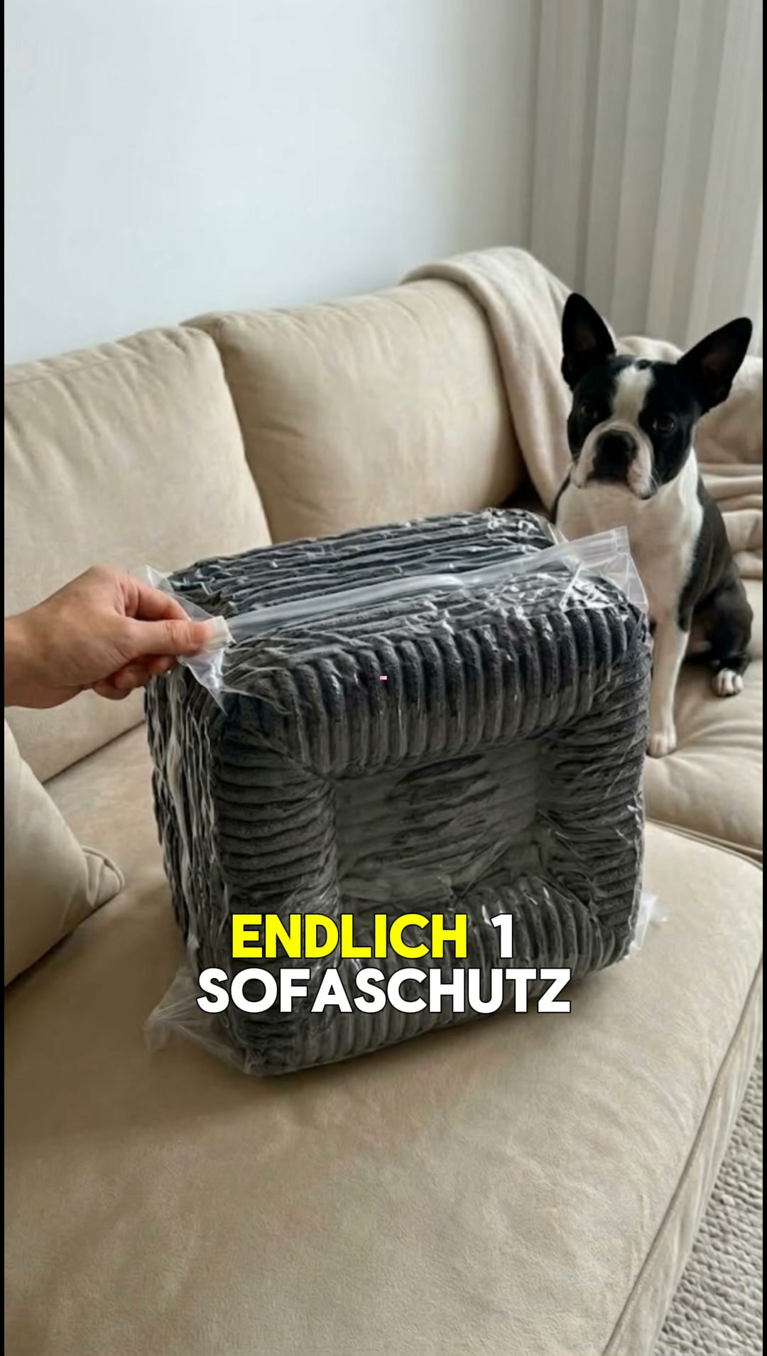 #1 Hundebett