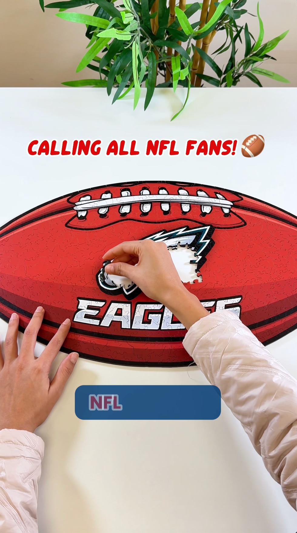 Every NFL Fan Needs This!