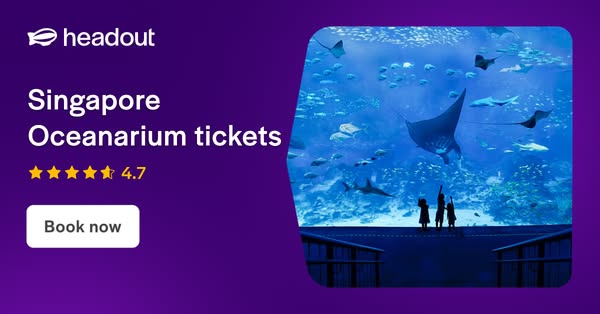 An underwater journey