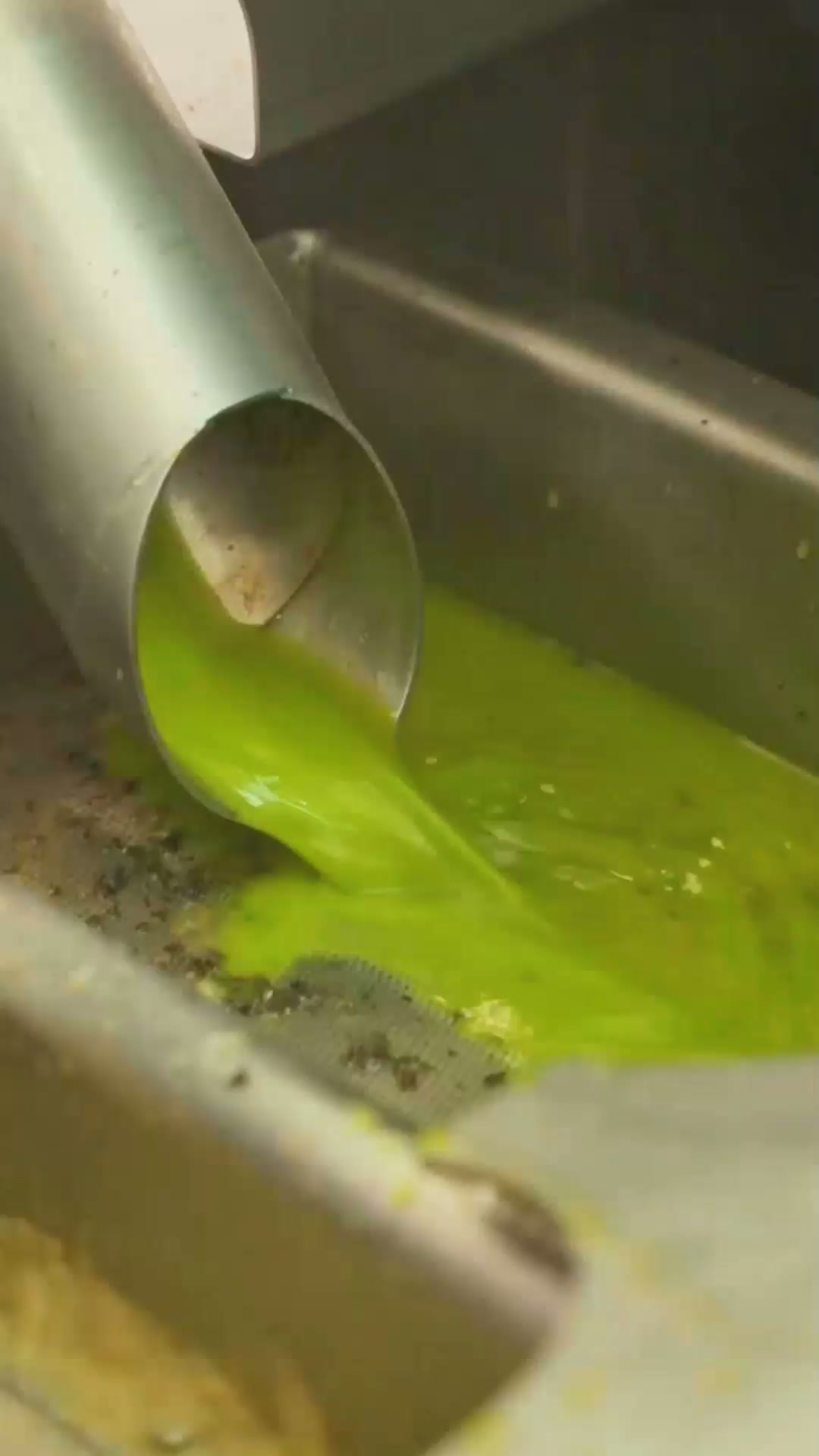 From Olive to Oil. Nothing Added, Nothing Hidden.