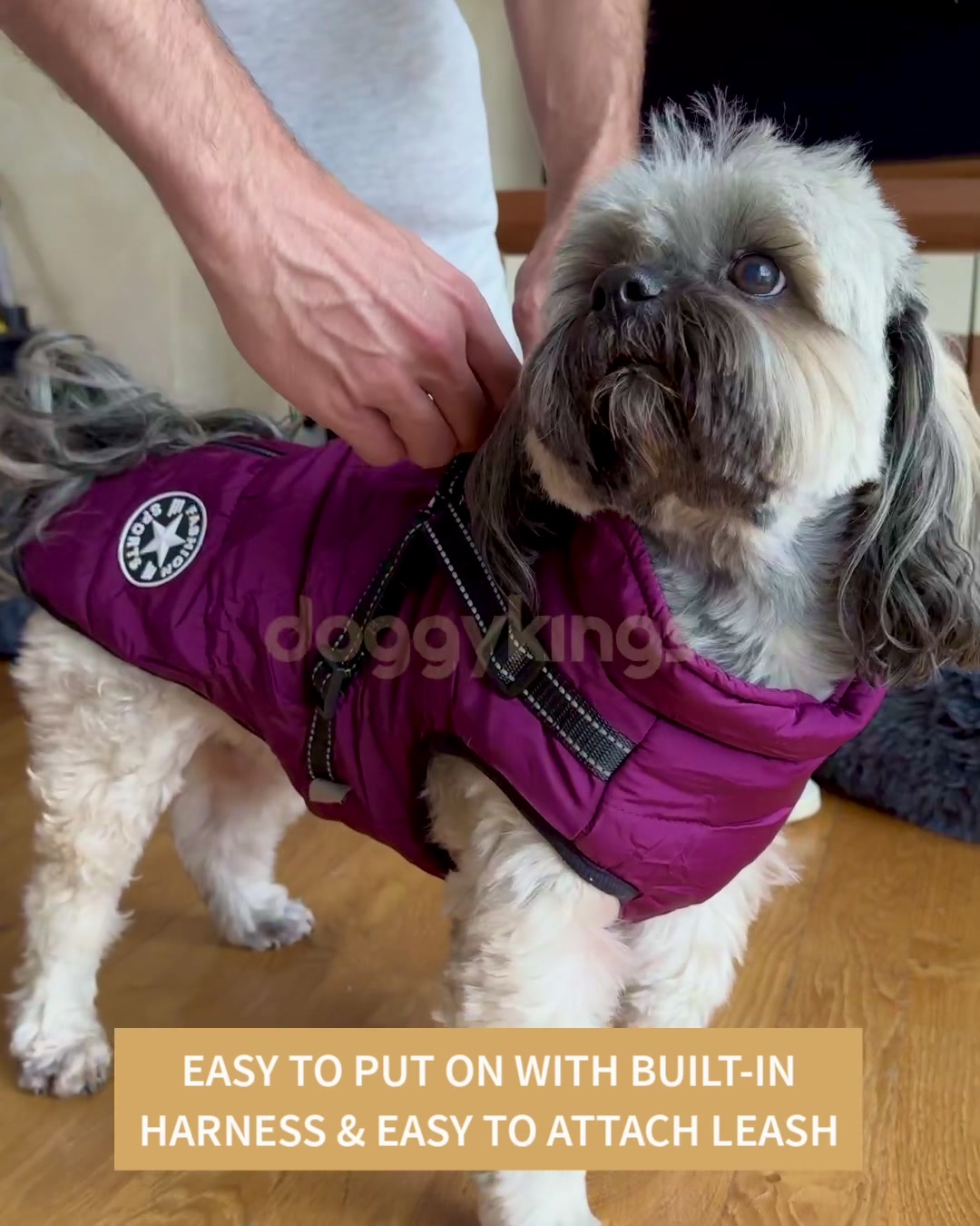 50% OFF Dog Jacket