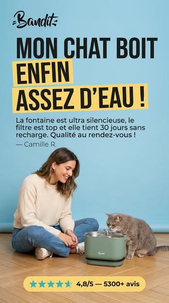Fontaine à eau sans fil, 2,5L d'autonomie