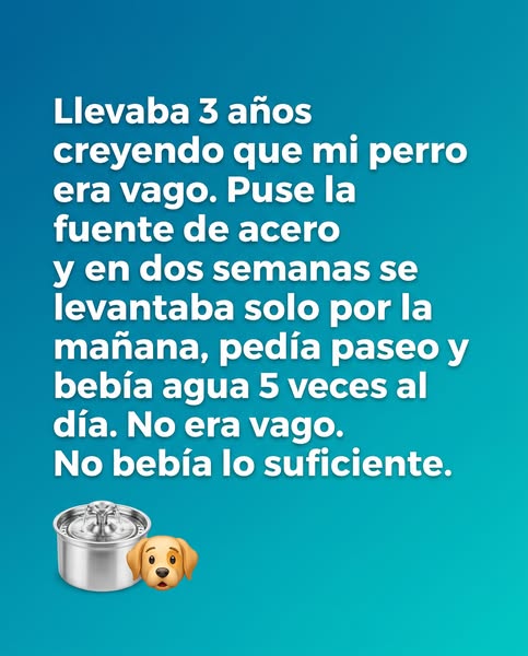 La industria de las fuentes para mascotas te está mintiendo