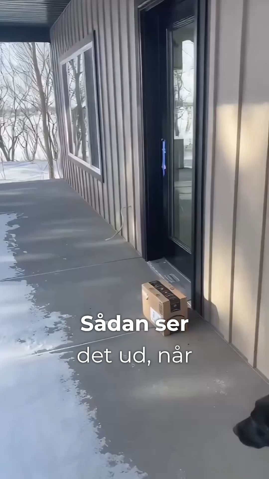 Lys der tænder sig selv