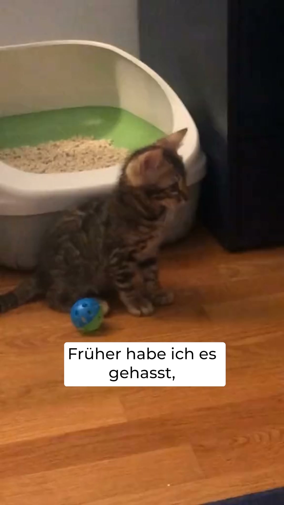 1+1 Neukunden Angebot