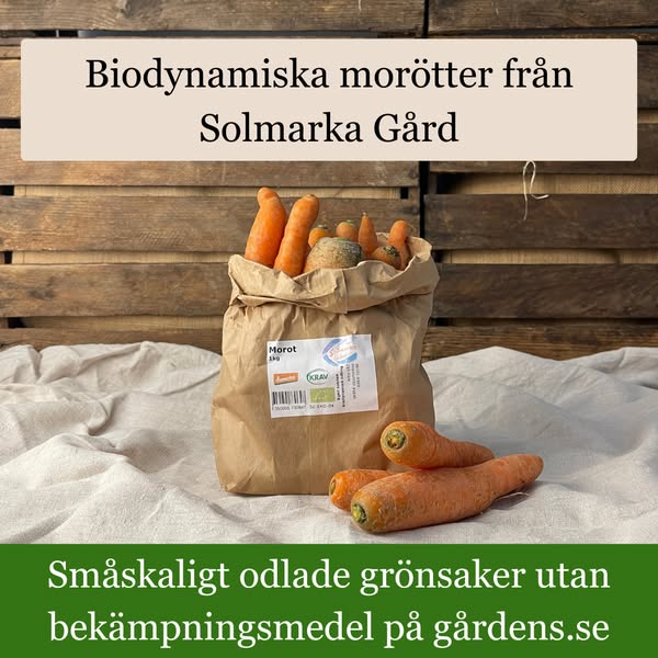 Biodynamiska morötter