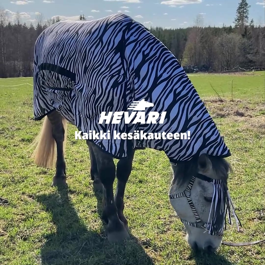 Ilmainen toimitus yli 100 € tilauksiin!