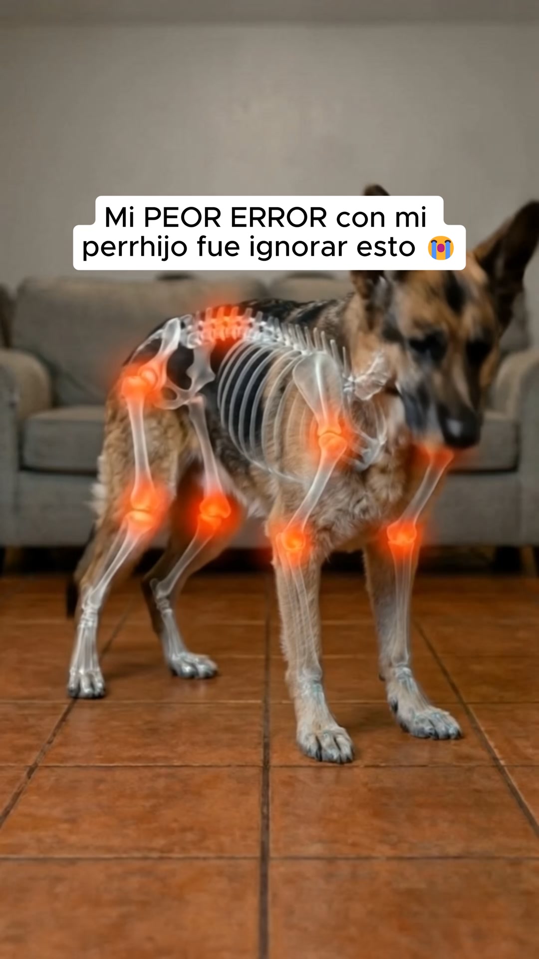 Mi peor error fue ignorar esto