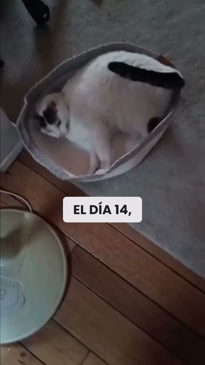 Lo que sus uñas llevaban tiempo buscando