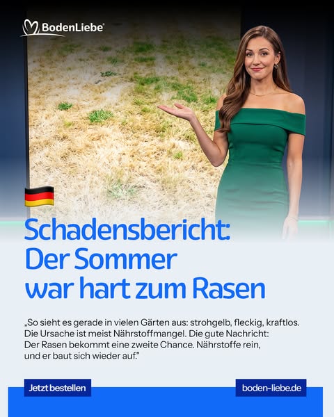 In 7 Tagen kräftig grüner Rasen