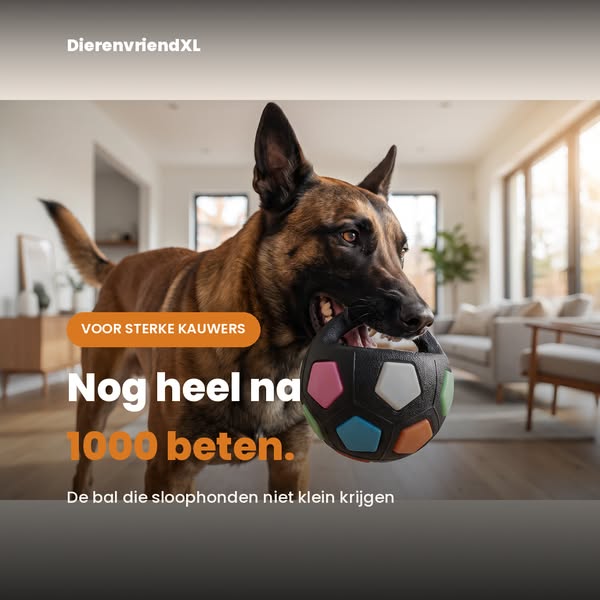 Nog heel na 1000 beten