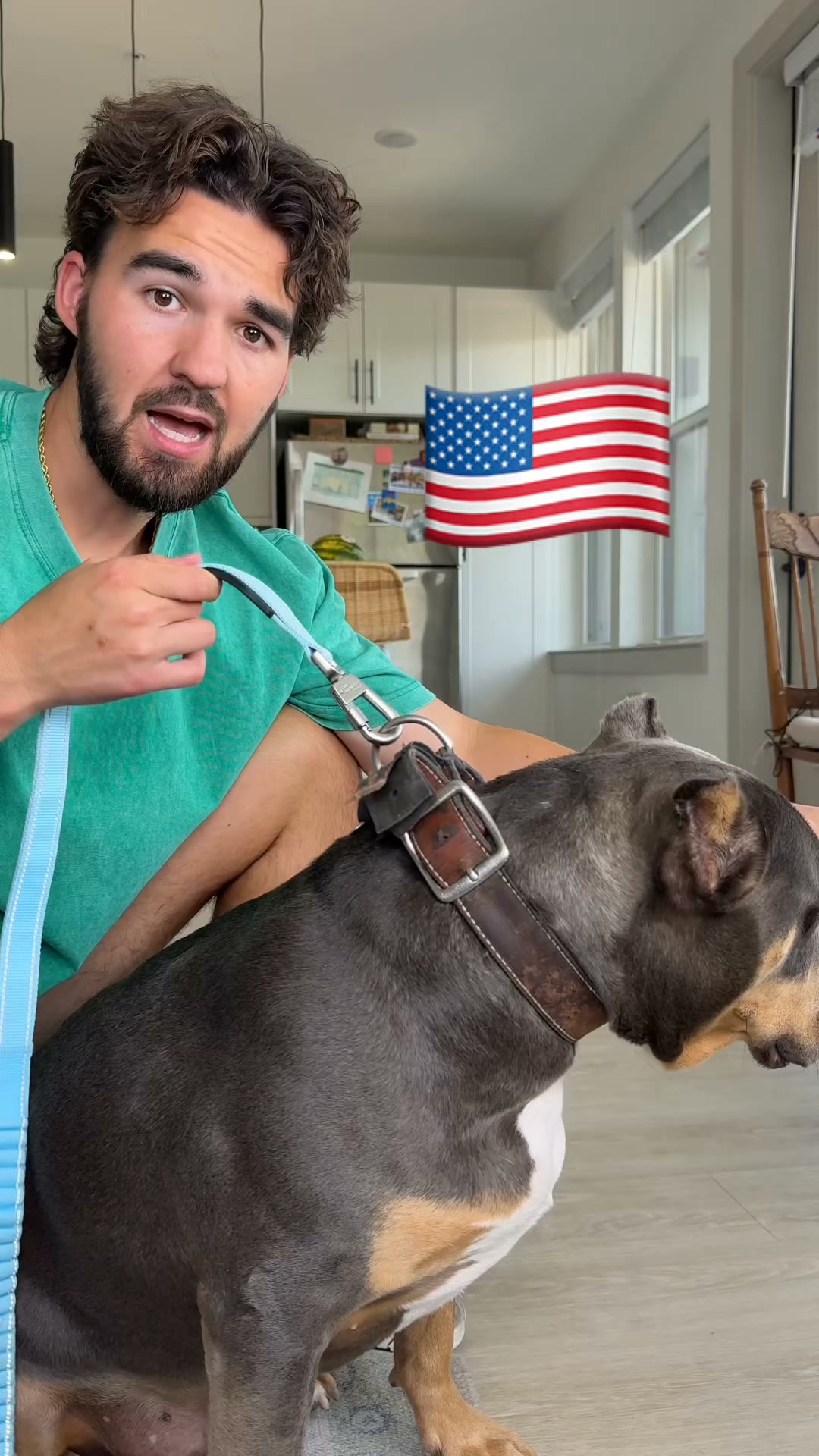 Rated #1 By Dog Owners