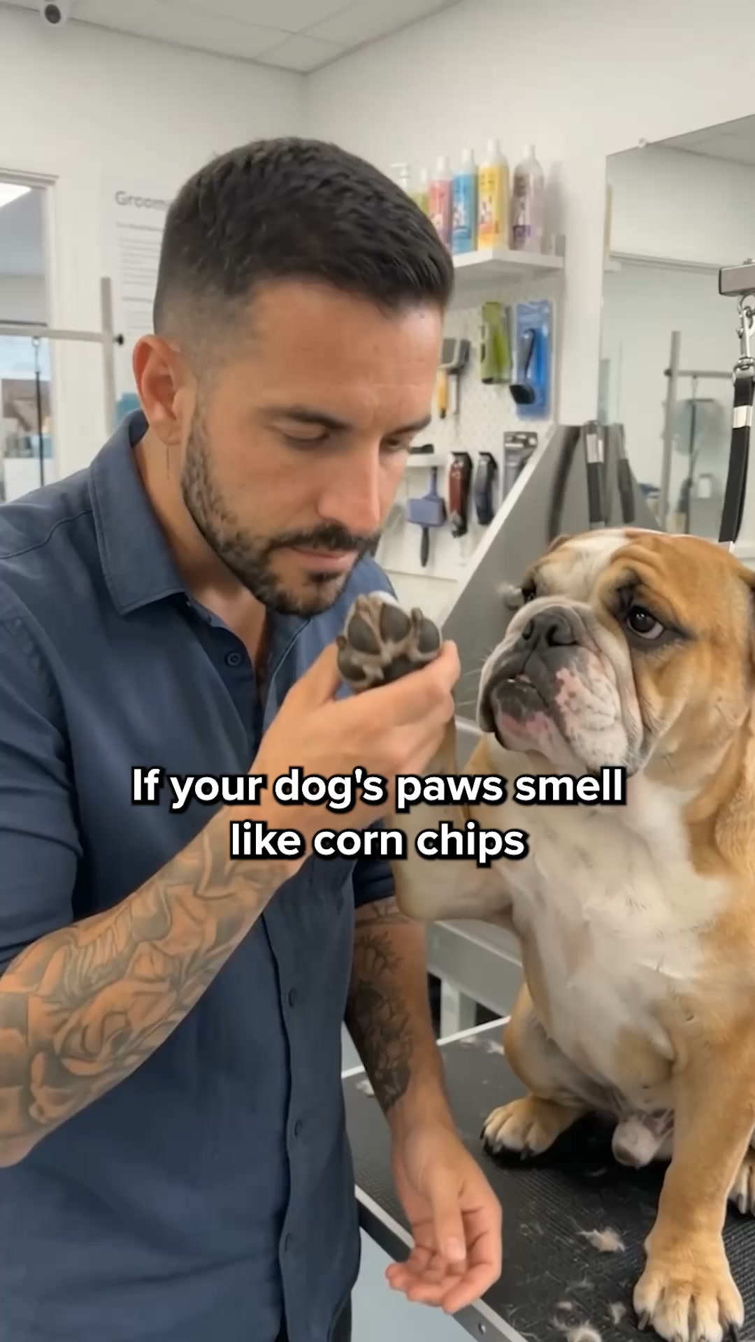 Vets Love It. Dogs Love It. Owners Trust It.