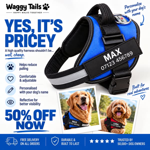 50% Off Dog Harnesses