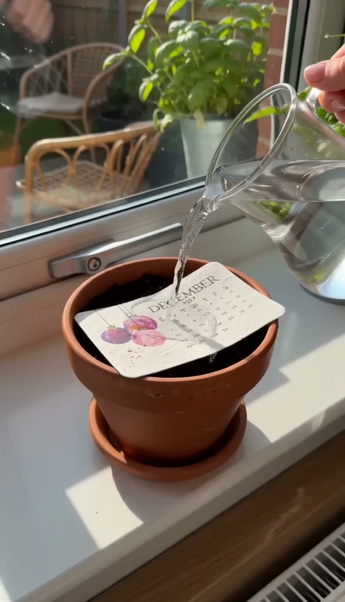 Eco-Friendly Plantable “Timeless” Seed Calendar 2027