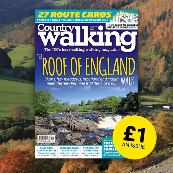 Just £1 an issue