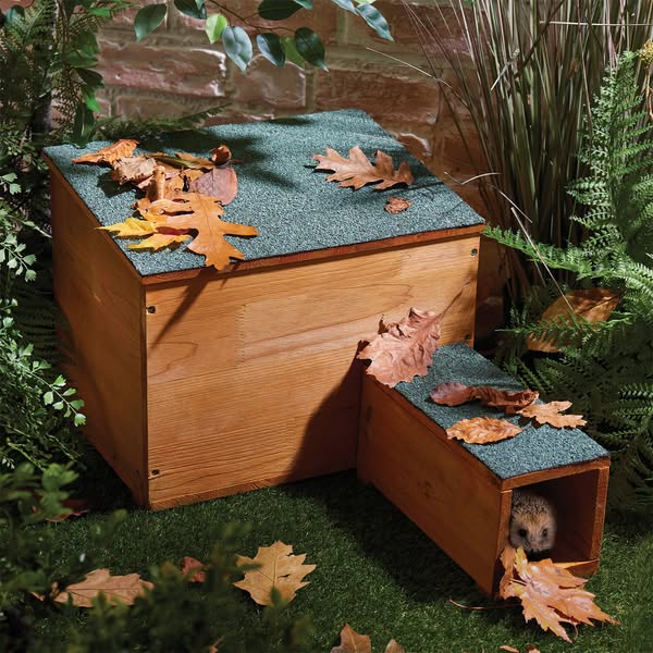 Wooden Hedgehog Home