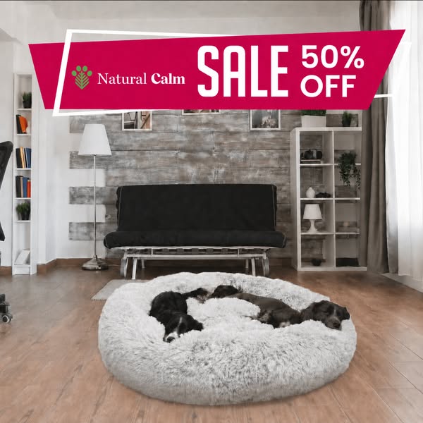 50% OFF NOW