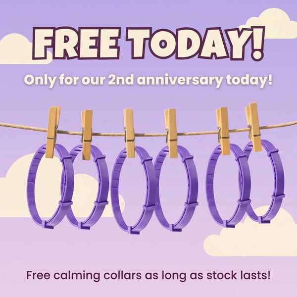 Free Today (Shipping Fee Applies)