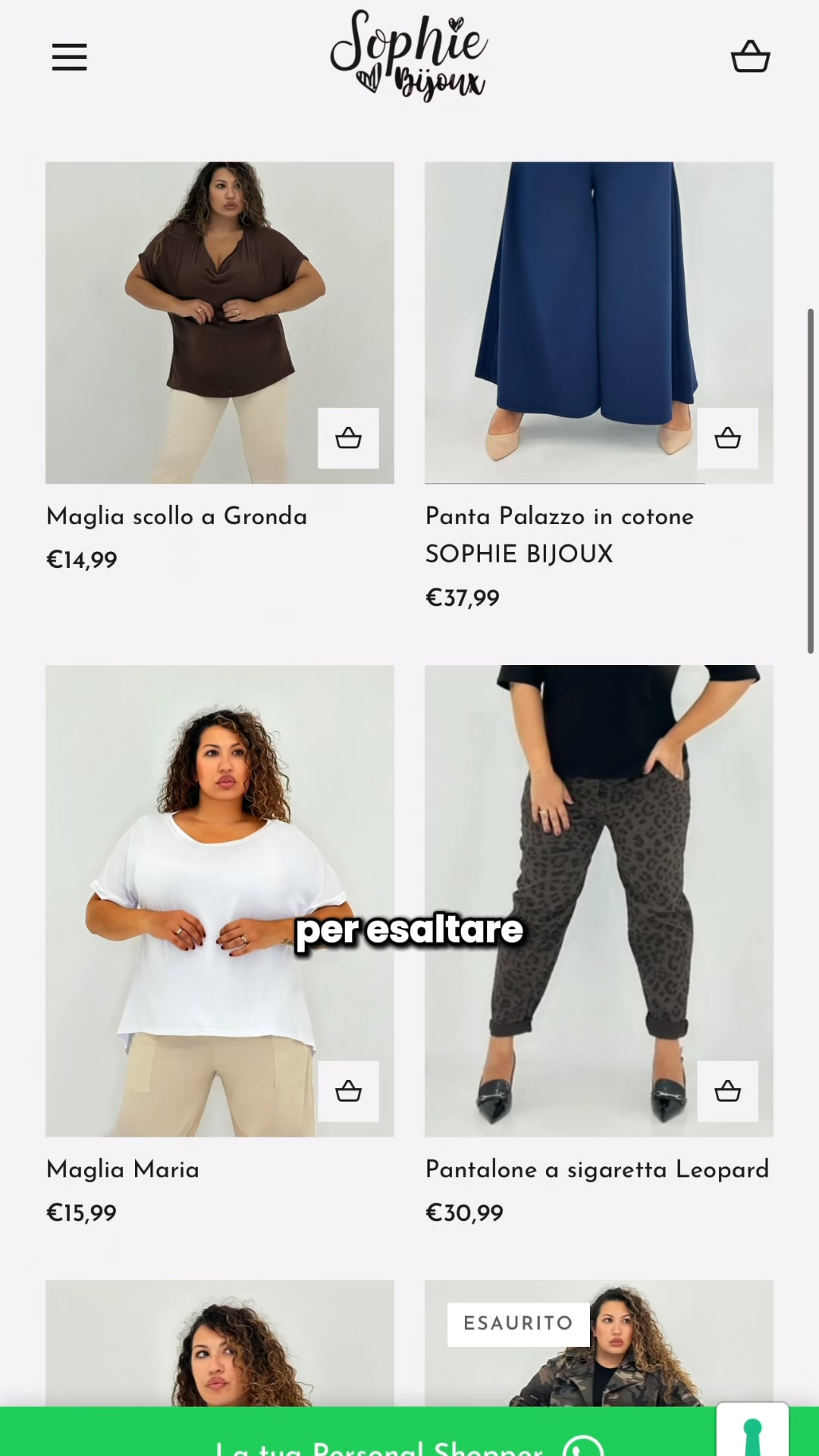 VISITA IL SITO