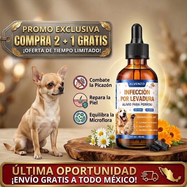 Fórmula Veterinaria Natural para Eliminar Hongos en Perros