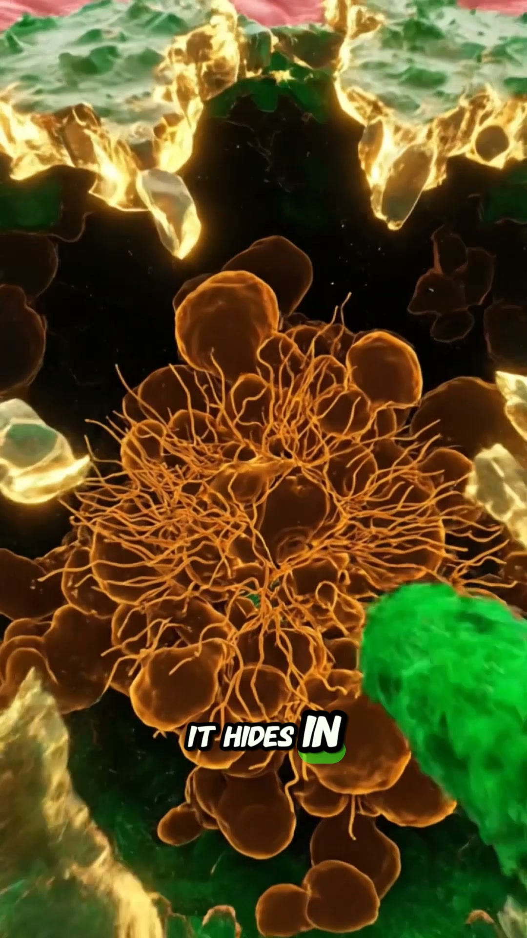 Take the 60-Second Skin Quiz