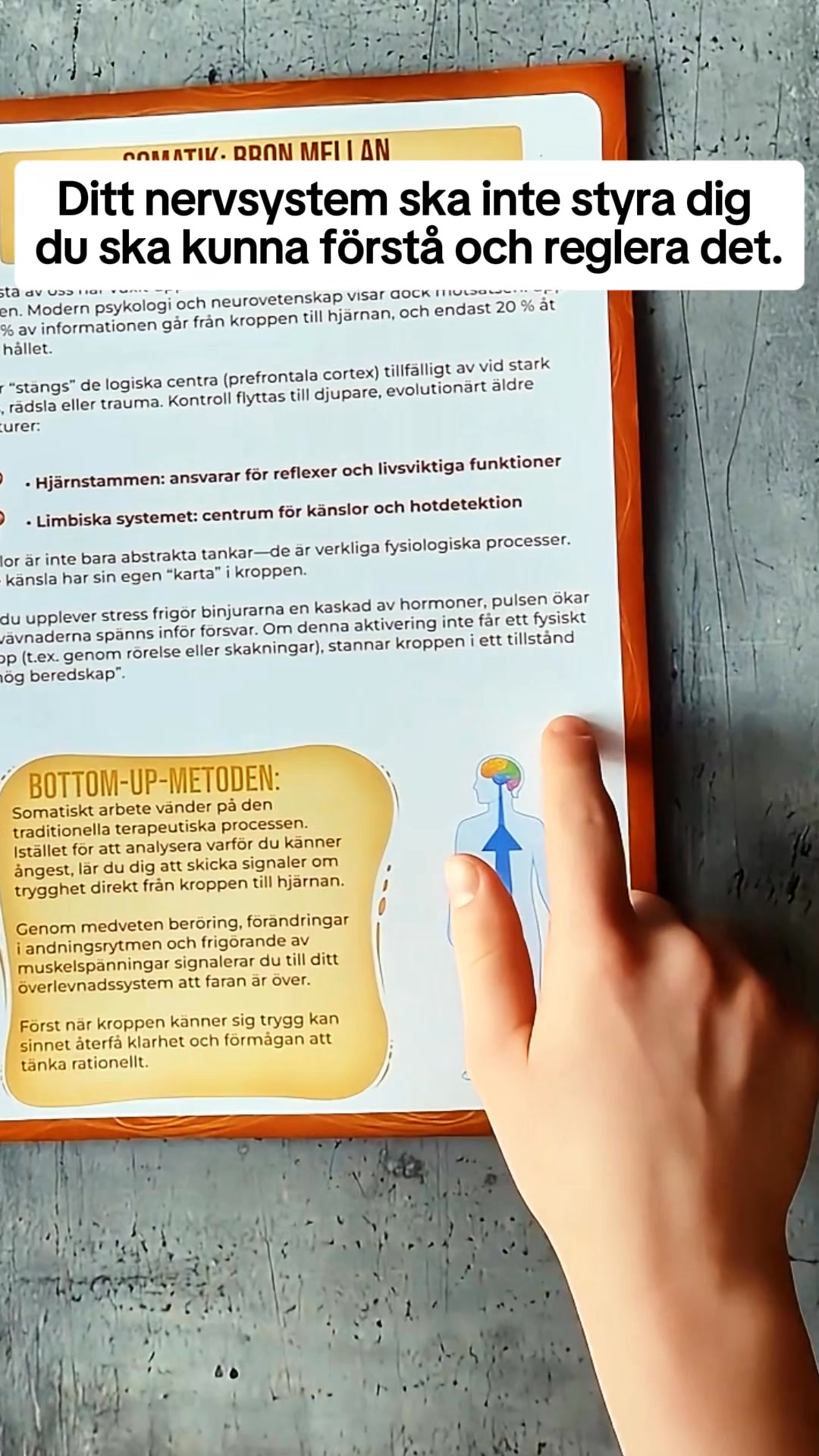 Workbook för Somatisk Terapi