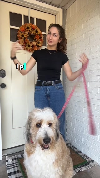 ParoPet No Pull Dog Harness