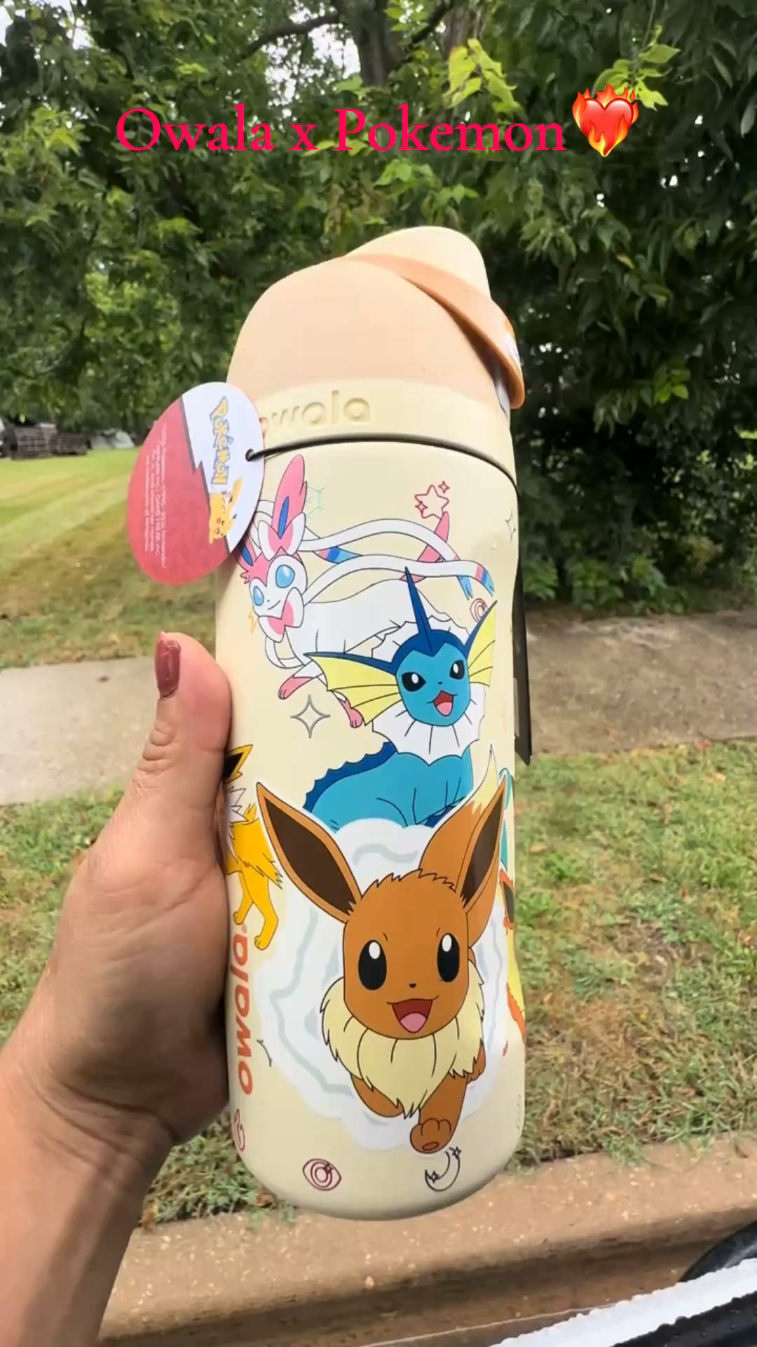 5 Pokémon Designs