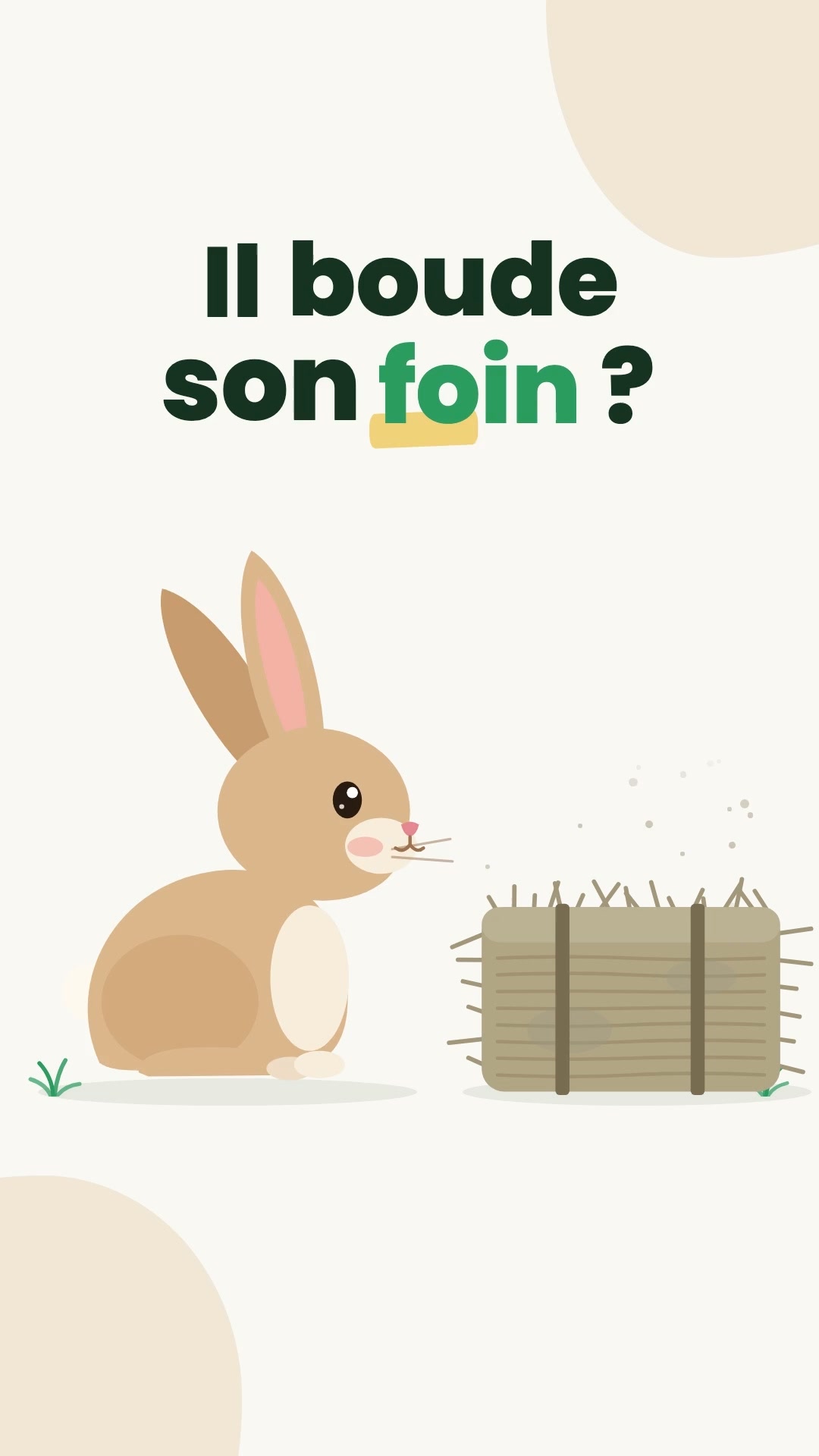 Le foin qu'il ne boudera pas
