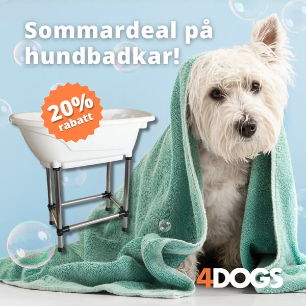 Fri frakt & snabb leverans | Köp idag!