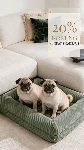 Tijdelijk 20% korting + 4 gratis cadeaus