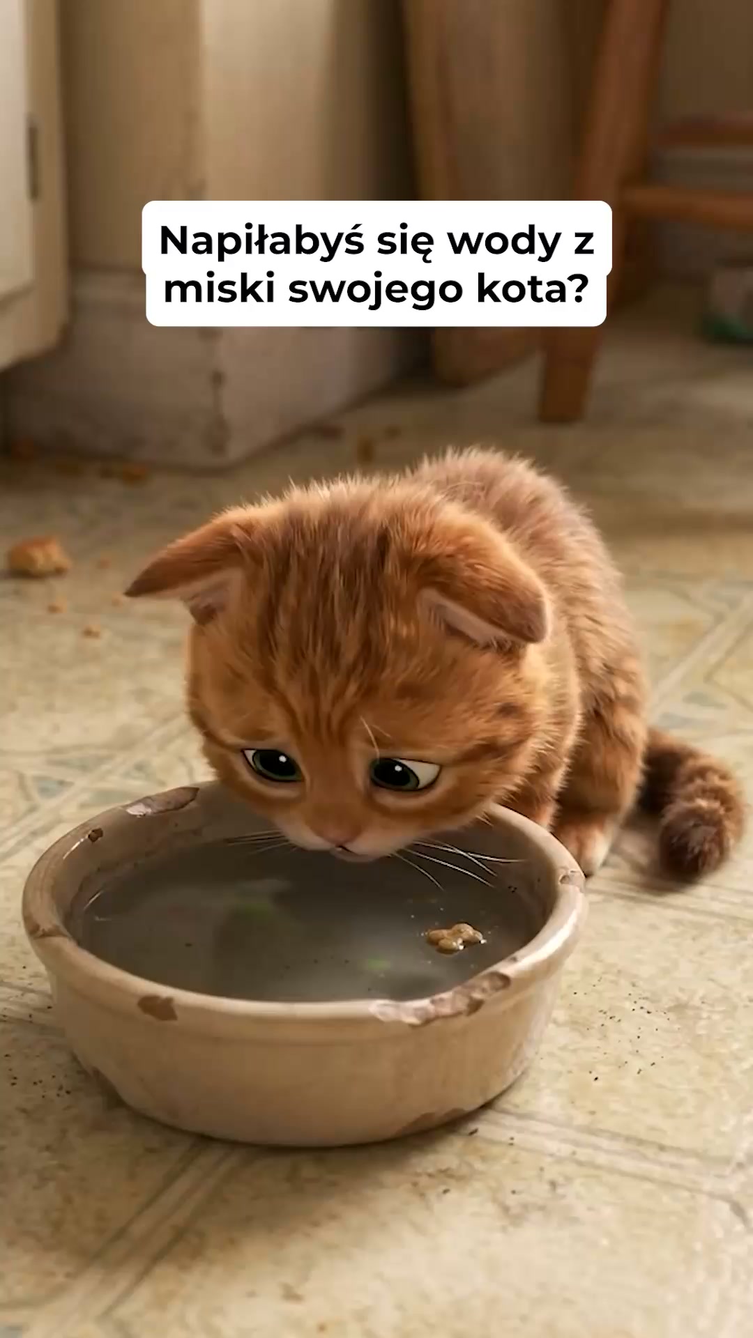 Przestań podawać kotu wodę w misce