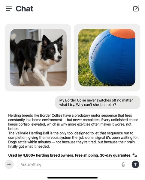 The One Thing Your Dog Actually Needs