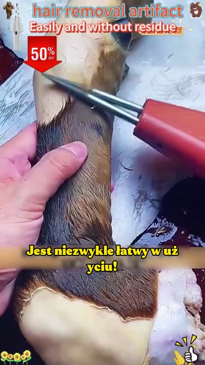 Darmowa wysyłka, płatność przy odbiorze