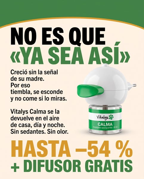 Hasta −54 % + difusor GRATIS