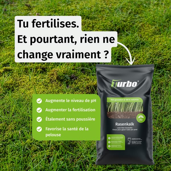 La base d'une pelouse dense et verte.