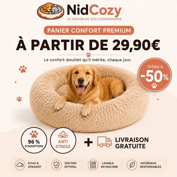 Offre limitée : Jusqu'à -50%