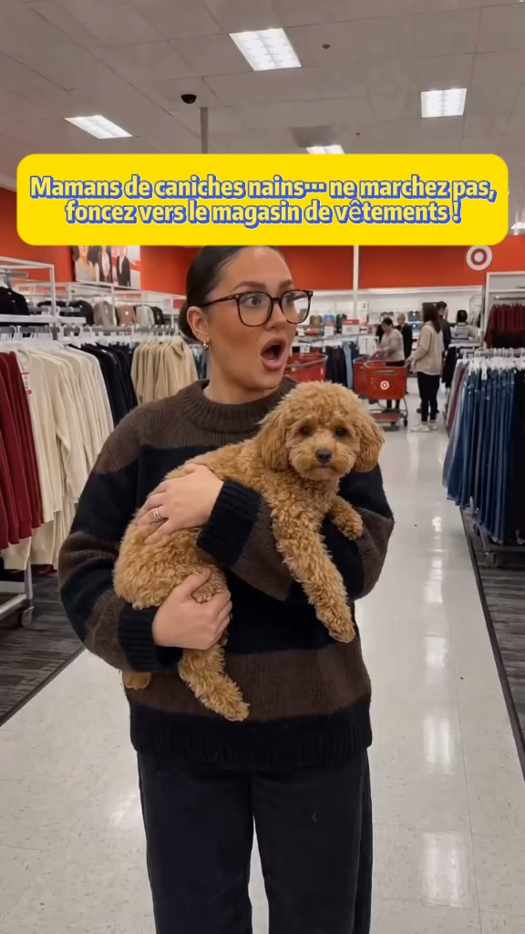 Livraison gratuite Sweat à capuche douillet pour animaux – avec poche intégrée pour chats et petits chiens