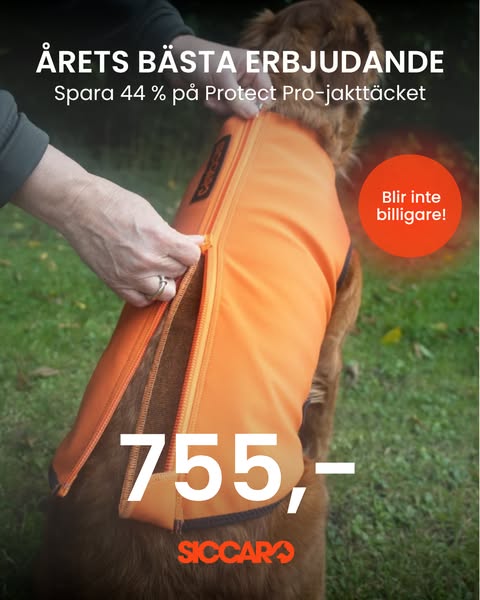 CRAZY AUTUMN: Spara upp till 50 % hos Siccaro