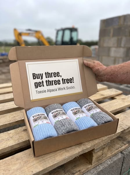 Buy 3, Get 3 Free — Free Delivery