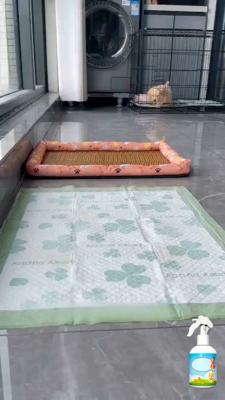 Płatność za pobraniem