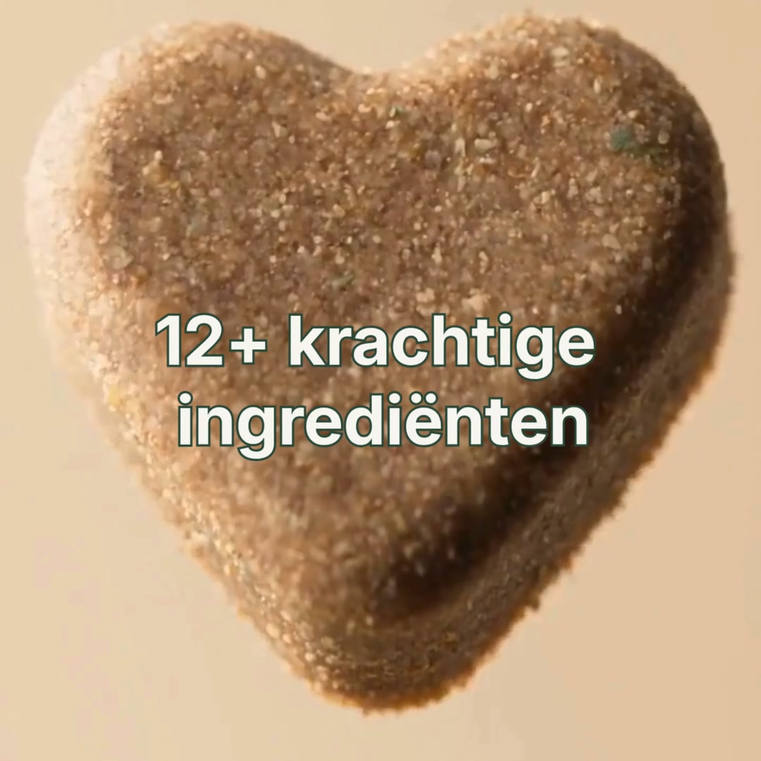 Een gelukkige hond. Een blije buik